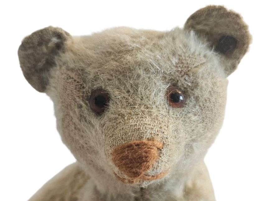 Rare grauer Steiff - Teddy Bear / Original Teddy Bear - Pre